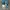Adidas Streetwear Casual Sneakers Pria white green photo 2