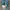 Adidas Streetwear Casual Sneakers Pria White Green