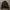 Converse Sportswear Casual Track jacket Pria black photo 1