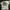 Carhartt Streetwear T-shirt Pria white photo 1
