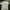 Carhartt Streetwear T-shirt Pria white photo 3
