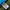 Carhartt Streetwear T-shirt Pria blue photo 4