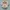Dig Deep Avant Garde Crop top Wanita tan photo 1
