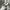 VANS Streetwear Sportswear Sneakers Pria black gray photo 1