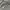 Carhartt Streetwear Y2K Hoody Pria gray photo 2