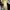Prada Luxury Midi dress Wanita tan cream photo 4