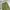 Uniqlo Vintage Y2K Pria green photo 4