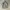 Minimalist Formal shirt Pria white photo 1