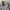 Minimalist Formal shirt Pria white photo 3