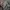 Le Coq Sportif Streetwear Sweater Pria gray photo 2