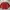 Vintage Y2K Sweatshirt Pria red photo 1