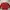 Vintage Y2K Sweatshirt Pria Red