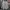 Disney Streetwear Sweater Pria gray photo 1