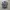 Dickies Streetwear Indie Formal shirt Pria blue photo 1