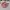 Shein Casual Sweatshirt Wanita pink photo 4