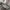 Vintage Streetwear Pria white gray photo 6