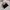 Casual Sweatshirt Wanita white black photo 1