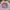 Casual Sweatshirt Wanita pink photo 1