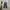 Dickies Streetwear Indie Casual pants Pria navy photo 1