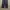 Dickies Streetwear Indie Casual pants Pria navy photo 5