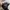 Dickies Streetwear Indie Casual pants Pria black photo 8