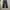 Dickies Streetwear Indie Casual pants Pria black photo 2