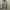 Dickies Streetwear Indie Casual pants Pria gray photo 2