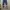 Loewe Luxury Jeans Pria blue photo 3