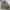 Casual Bomber jacket Pria tan photo 1