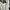 Minimalist Casual Sweatshirt Pria white black photo 3