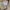 Grooverhyme Luxury Minimalist Sweatshirt Pria tan photo 4