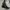 Vivienne Westwood Grunge Goth Shoulder bag Wanita black photo 6