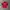 Umbro Streetwear Sportswear Jersey Pria red black photo 1