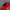 Umbro Streetwear Sportswear Jersey Pria red black photo 3