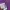 Dolce & Gabbana Luxury Formal shirt Pria purple photo 5