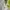 Sportswear Jersey Pria blue yellow photo 7