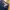 Evisu Streetwear Skater Wanita navy blue photo 4