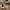 Vintage Y2K Sunglass Pria black photo 1
