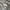 Casual Bomber jacket Wanita silver gray photo 4