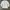 Asics Sportswear Minimalist T-shirt Pria white photo 8