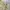 McGregor Vintage Casual Harrington jacket Pria tan cream photo 8