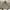 Vintage Y2K Hoody Pria gray photo 1