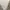 Vintage Y2K Hoody Pria white photo 6