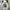 Vintage Y2K Hoody Pria white photo 2