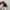 On Running Sportswear Sneakers Pria black photo 3