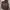 Oioi Y2K Hoody Pria Brown