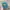 Hat Pria green photo 1