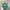Hat Pria Green