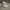 Converse Grunge Indie Sneakers Pria white photo 1