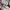 Nike Streetwear Skater Sneakers Pria silver cream photo 3